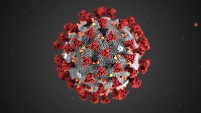 Das Bild zeigt das Corona-Virus