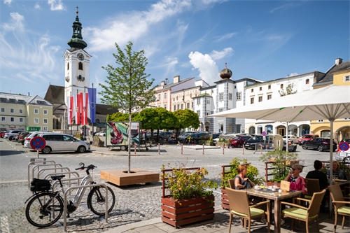 Das Bild zeigt die Schwammstadt-Bäume am Hauptplatz.