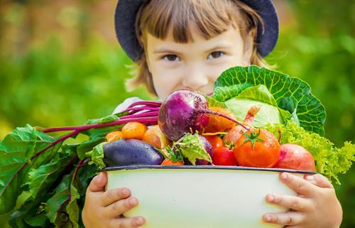 Das Bild zeigt ein Kind mit frischem Gemüse aus dem Garten